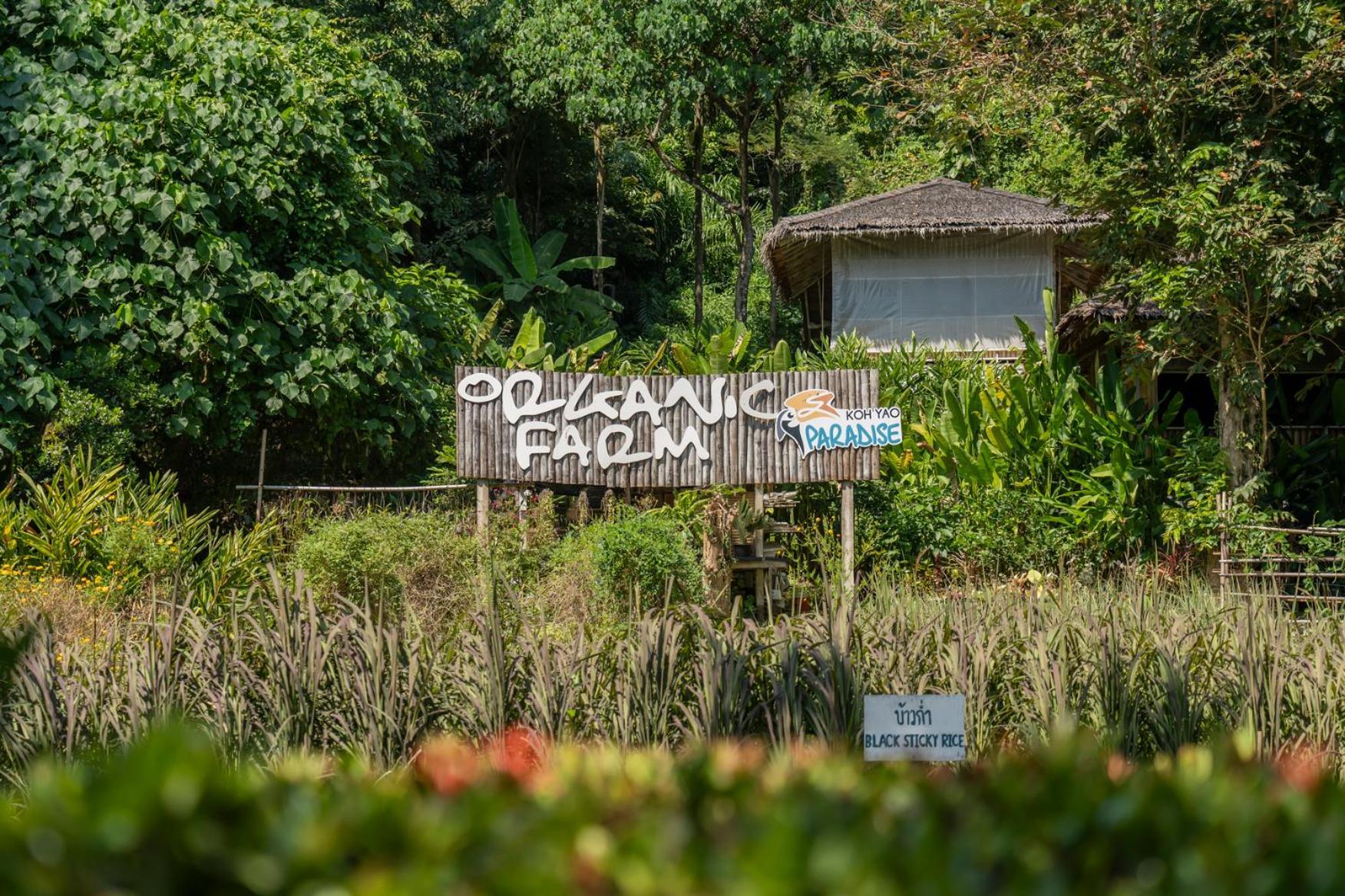 Paradise KohYao - SHA Extra Plus Ko Yao Noi Exterior foto